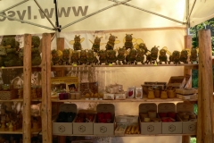 Baltow 2011-03