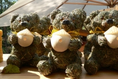 Baltow 2011-04