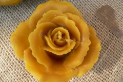Baltow 2011-06