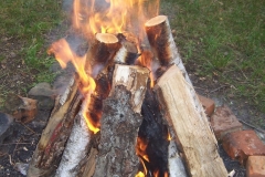 Biesiada 2012-040