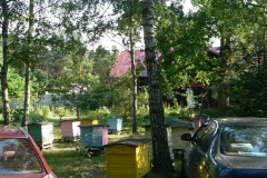 Biesiada 2012-066